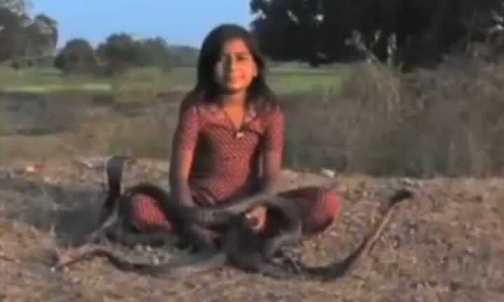 Rợn người clip cô bé 8 tuổi chơi với 6 con rắn hổ mang