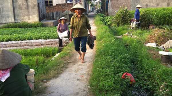 Làng nghèo cơ cực ngay giữa Hà Nội
