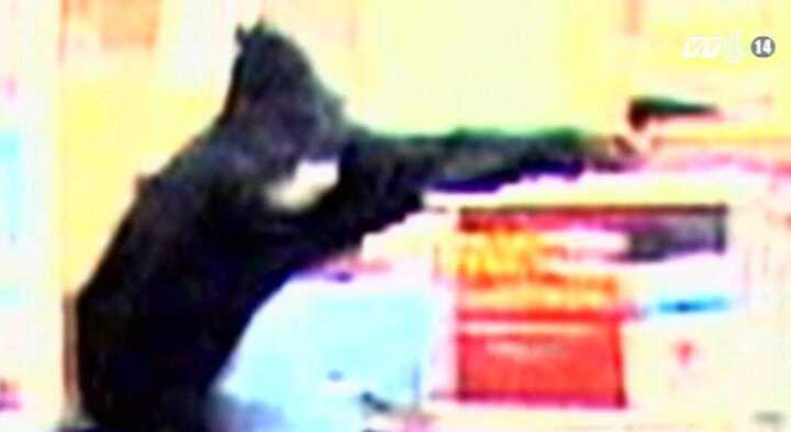 Clip: Truy bắt cướp, cảnh sát bắn chết nhân viên truyền hình