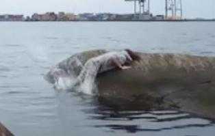 Clip: Thách đố dại dột, 2 thanh niên ngã đập mặt vào tảng đá