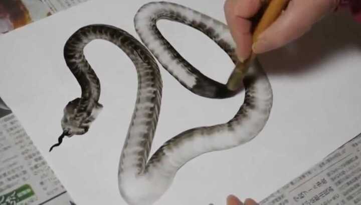 Clip: Nghệ sĩ tài năng vẽ rắn như thật chỉ bằng một nét