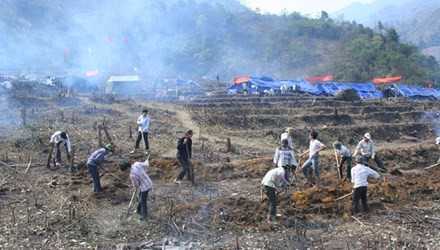 Chuyện kể ở cánh đồng ma