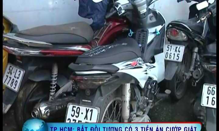 Clip: Cướp lang thang săn mồi