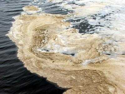 Clip: Thủ đoạn xả chất thải của công ty giấy