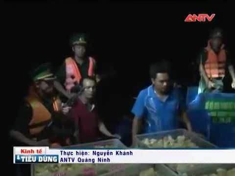 Lợi dụng bão, tuồn 20.000 gà giống TQ vào VN