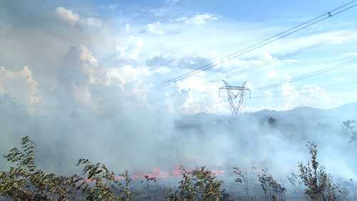 Đốt cháy rừng, đường dây 500kV Bắc-Nam gặp ‘hạn’