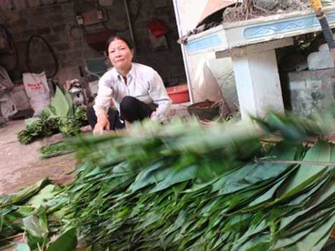 Trở thành tỷ phú nhờ nhặt lá tre