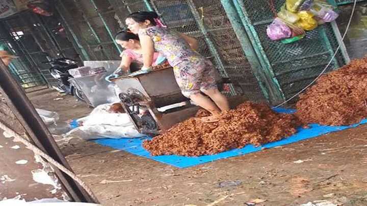 Video cận cảnh dùng chân chế biến me siêu bẩn