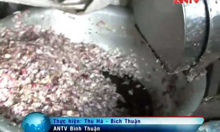 Bình Thuận: Phanh phui công nghệ tái chế dầu ăn bẩn
