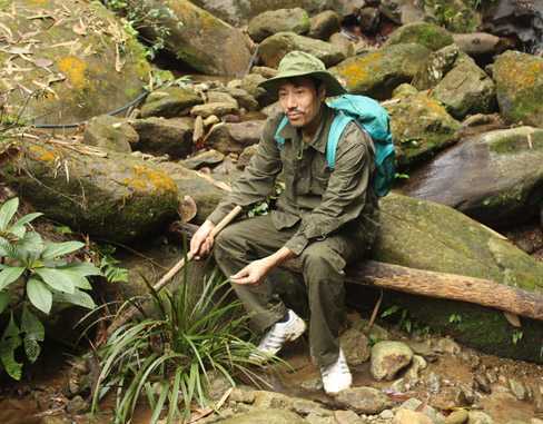 Con suối tràn ngập loài cỏ bất tử mọc trên đá ở Tây Côn Lĩnh