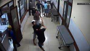 Thương lái Trung Quốc ồ ạt thu mua sầu riêng non