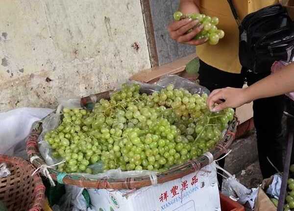 Giải mã nguồn gốc nho xanh giá rẻ bán tràn lan ở Hà Nội