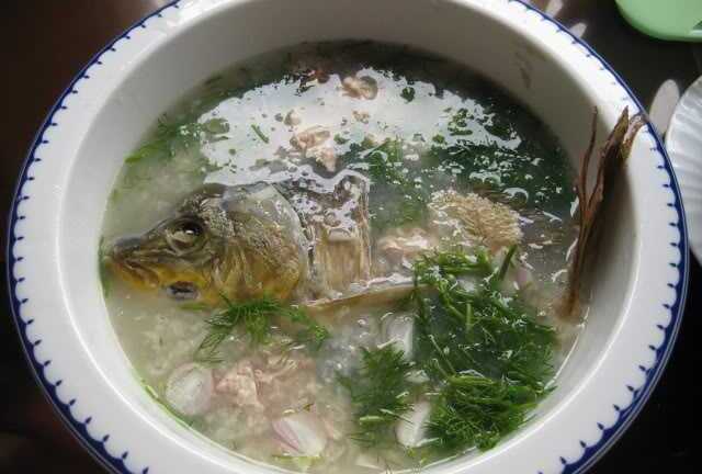 Bà bầu nên ăn gì để tốt cho thai nhi?