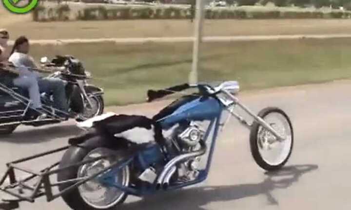 Video: Kinh ngạc với tay lái mô tô bằng dây cương ngựa