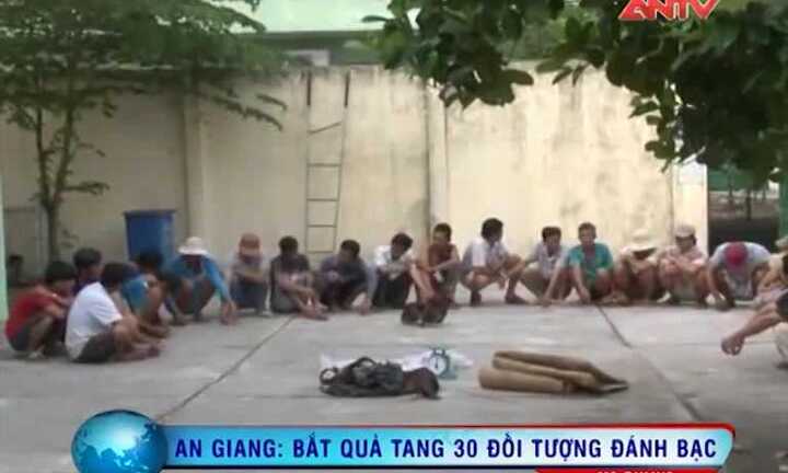 An Giang: Công an ập vào bắt gọn sới gà 'khủng'