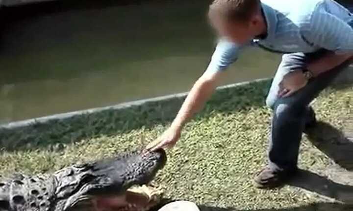 Clip: Đùa bỡn với cá sấu, nhận hậu quả nhớ đời