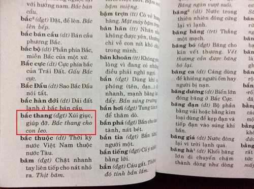 Từ điển giải thích ngây ngô, NXB Đồng Nai kiểm tra thông tin