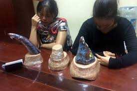 Bắt 7kg sừng tê giác 'đội lốt' sản phẩm lưu niệm