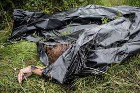 Nhiều thi thể nạn nhân vụ MH17 tiếp tục được tìm thấy