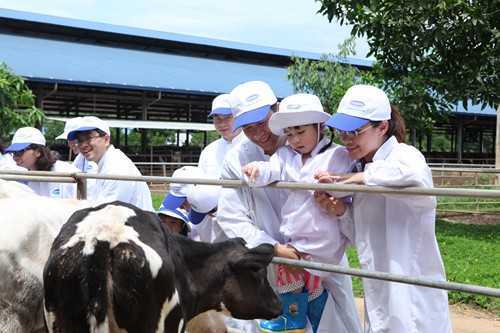 Gia đình MC Phan Anh, BTV Hoài Anh trải nghiệm tại trang trại bò sữa Vinamilk