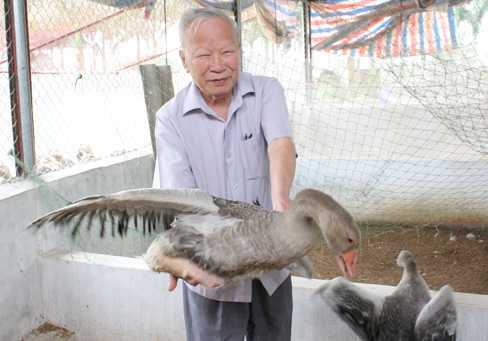 Nguyên PTT Nguyễn Công Tạn: Giấc mơ nông dân triệu phú