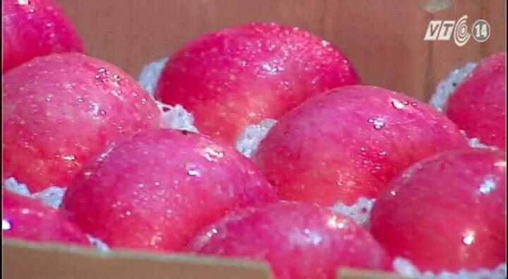 Mẹo tránh mua phải hoa quả Trung Quốc nhiễm độc