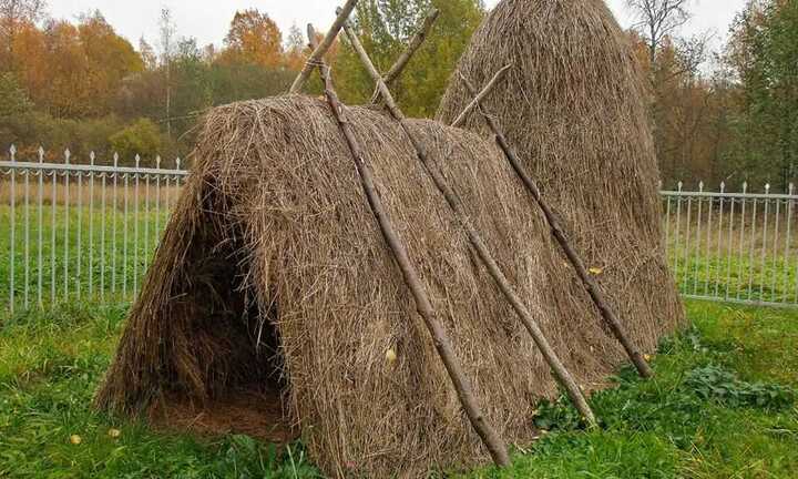 Lều cỏ của Lenin giờ ra sao?