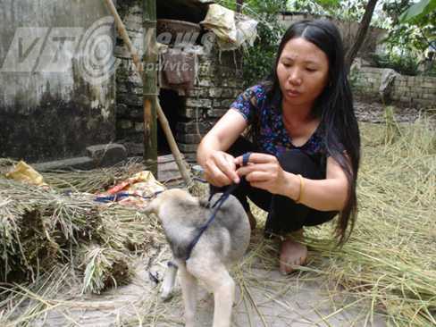 Vật nuôi 4 chân ‘tự tử’ ở Bắc Giang: Bức màn bí ẩn