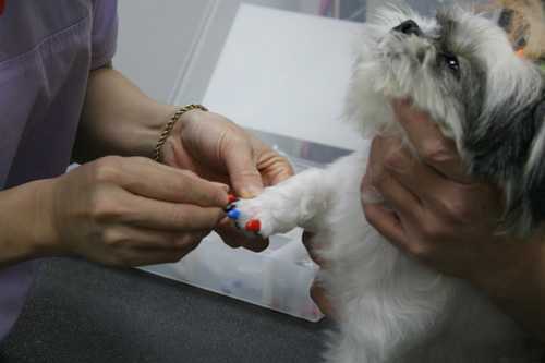 10 nghề độc lạ nhất Việt Nam hiện nay