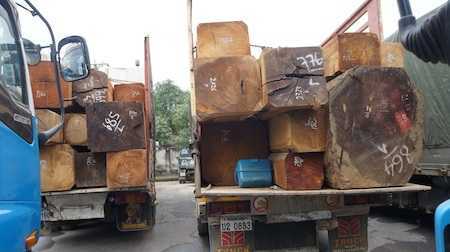 Đoàn 21 xe chở gỗ quá tải rầm rầm từ Lào về Việt Nam