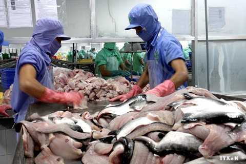 Việt Nam không bán phá giá filet cá tra, cá ba sa vào Hoa Kỳ