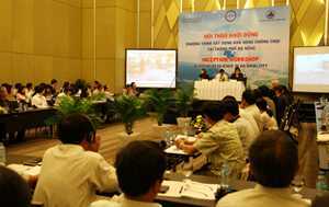 Quỹ Rockefeller chọn Đà Nẵng vào '100 thành phố có khả năng chống chịu