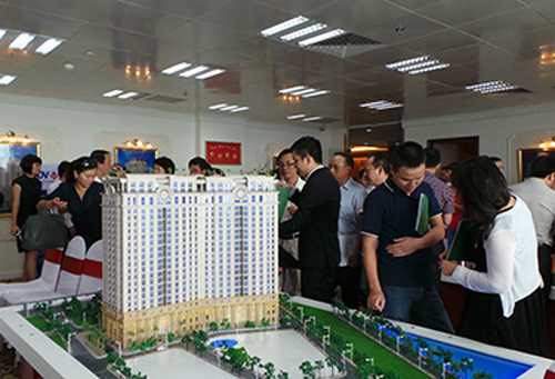 Cò đất thời khó: Thu 600 triệu, mơ đỉnh cao 3 tỷ/tháng