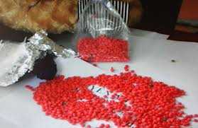 Đánh sập đường dây ma túy Hải Phòng – Nghệ An