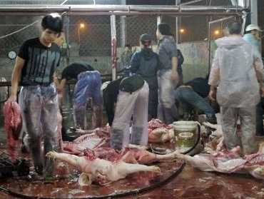 Rùng mình lò mổ gia súc lộ thiên, mất vệ sinh ở Hà Nội