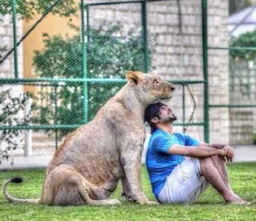 Đại gia kể chuyện dốc bạc tỷ nuôi mãnh thú