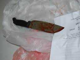 Bắt kẻ đoạt mạng người bằng 29 nhát dao