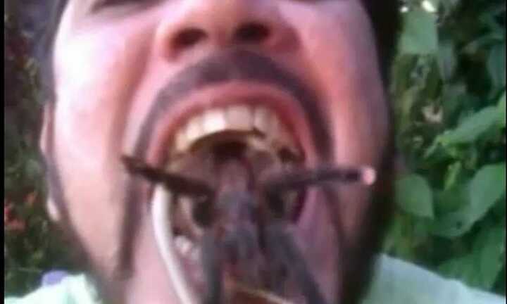 Rùng mình người đàn ông nhét rắn và nhện sống vào miệng