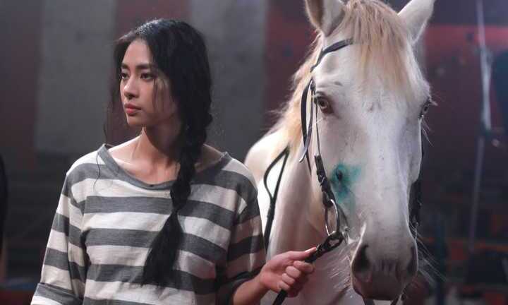 Ngô Thanh Vân đầu tư tiền tỷ làm phim 'Ngày nảy ngày nay'