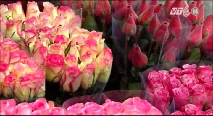 Rùng mình những ẩn họa từ hoa tươi