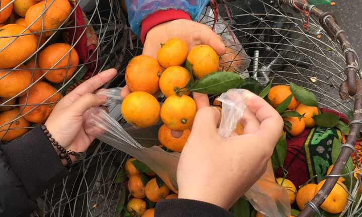 Quýt ngọt 15.000 đồng/kg tràn lòng đường Hà Nội