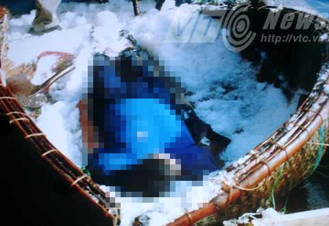 Chuyện kinh hãi ở Lý Sơn: Tan xác giữa biển Đông