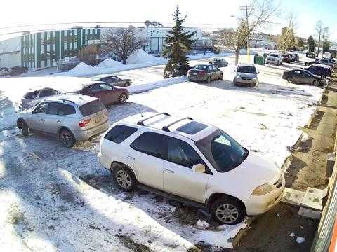 Pha lùi xe khổ sở nhất năm