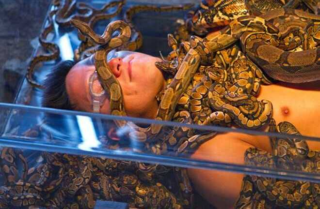 Những công việc đặc biệt nhất hành tinh