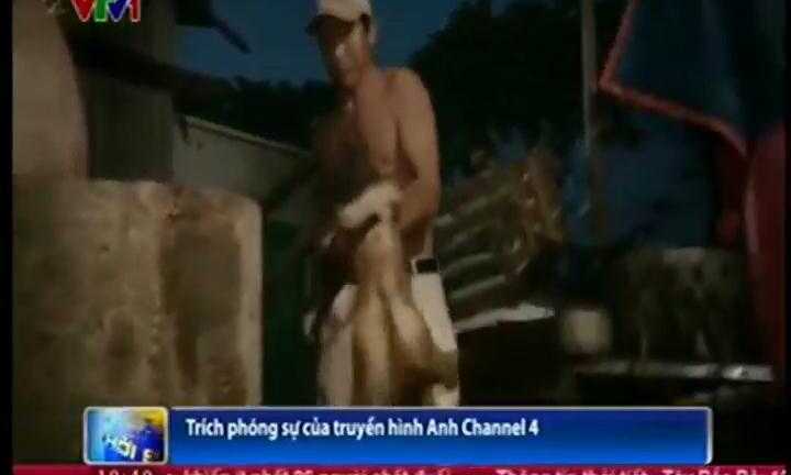 Nạn trộm chó ở Việt Nam lên truyền hình thế giới
