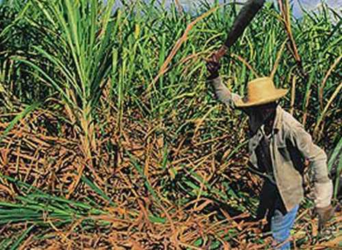 Can ngăn mâu thuẫn bị đồng nghiệp chém chết