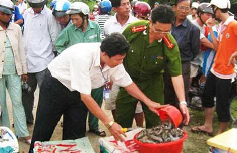 Thương lái Trung Quốc mua tôm tạp chất: Âm mưu hiểm?