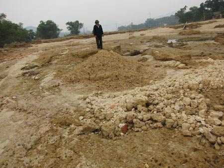 Đồng bằng Sông Cửu Long có nguy cơ thành sa mạc