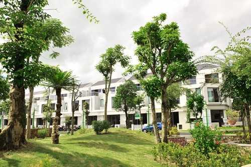 Viglacera tặng 10 cây vàng cho khách mua biệt thự Lâm Viên