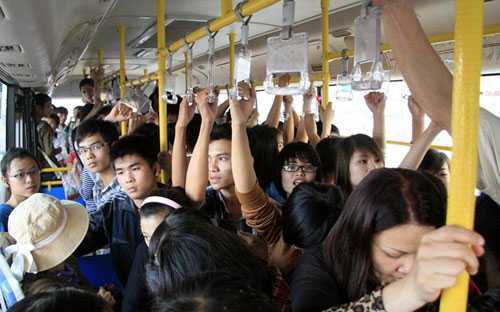 Từ 5/1/2015 Hà Nội sẽ có xe buýt dành riêng cho phụ nữ
